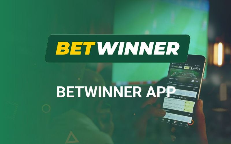 Learn To Betwinner Congo Like A Professional