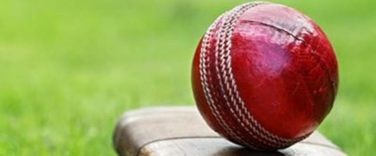 Authorized cricket betting app