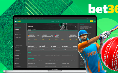 Cricket Bet Live 365: A Thrilling Guide to Live Cricket Betting